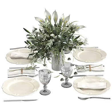 Tableware set for serving with plates and glasses