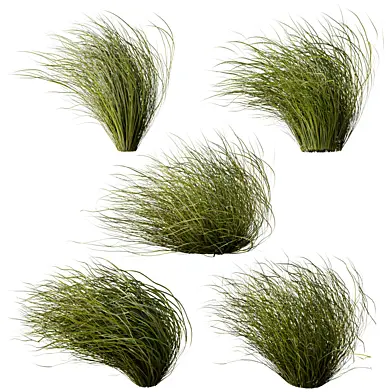 Windblown Grass Bundle
