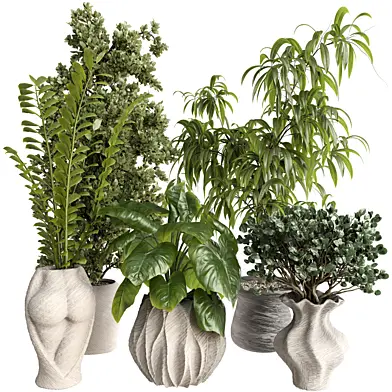 Decorative Indoor Potted Plants Collection 493