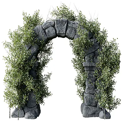 Medieval Stone Arch with Ivy - Outdoor plants 291