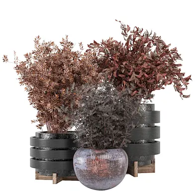 indoor Plants Collection 2852
