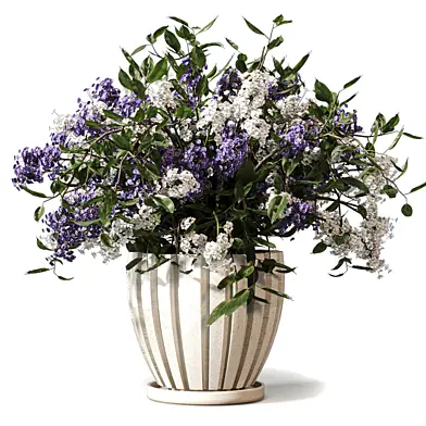 Indoor Plant - Flowering Plants in Vase 716