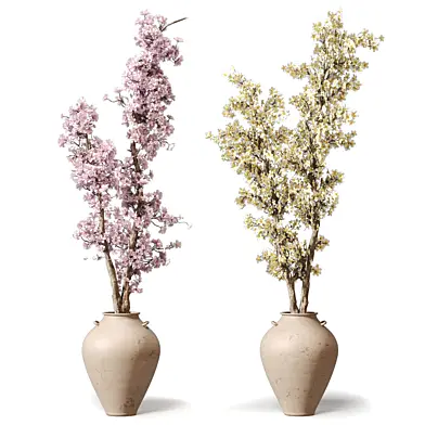 Plants - Flowers Branches Blossom Tree 721