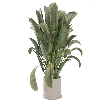 Indoor Plants Handmade Metal Pot_Set 4996