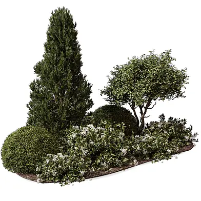 Outdoor Plant - Backyard Landscape Garden 725