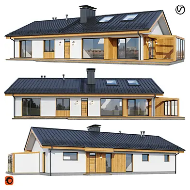 Modern house V174
