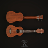 Ukulele Aqua One &amp; Only 001