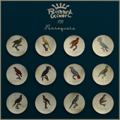 The Richard Ginori Perroquets Wall plates