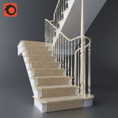 carpeted staircase