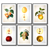 Posters with fruit for the kitchen.