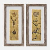 Blossom Sketch Framed Prints by Birch Lane