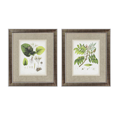 'East Indian Plants' 2 Piece Framed Graphic Art Set by Propac Images