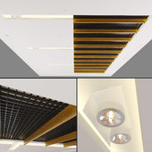 Modern Ceiling