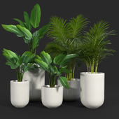 SEMINYAK GRAY PLANTER