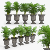 Crawfordsland Metal Pot Planter 03