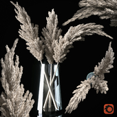 Pampas grass in a vase