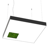 Bone light square with hole with moss OM