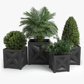 Panel planter Bushes