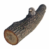 Log