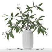 Bouquet 23