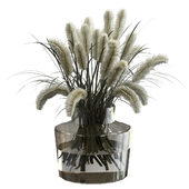 Bouquet of pennisetum