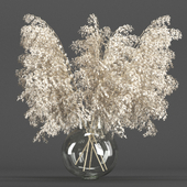 Bouquet dry 26