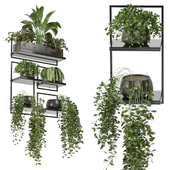 indoor plants in rusty concrete pot on metal shelf - Set 138