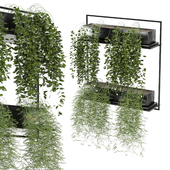 indoor hanging plants in metal box_set 142