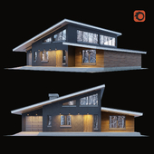 Modern cottage