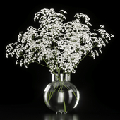 Bouquet 32 gypsophila