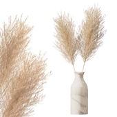 pampas 02