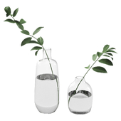 019 Branch in Bottle indoor plant