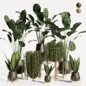 indoor plant set 02