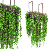 indoor hanging plants in metal box_ Set 484