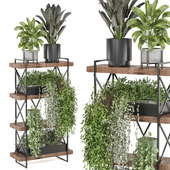 indoor plants in metal shelf_set 798