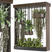 indoor hanging Plants Collection set_1033