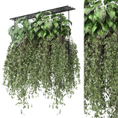 indoor hanging plants in metal box_ Set 1045