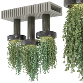 indoor hanging plants collection set 1300