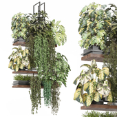 indoor plants in metal box Set hanging 1303