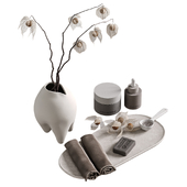 Decorative set Fizalis