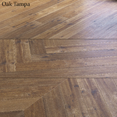 Oak Tampa