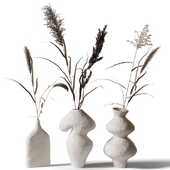 Dry herbs in clay vases