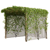 Pergola with Ivy v11