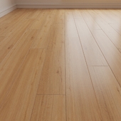 Laminate. Parquet. Board 6