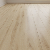 Laminate. Parquet. Board 13