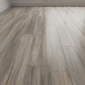 Laminate. Parquet. Board 15
