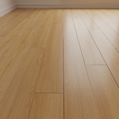 Laminate. Parquet. Board 18