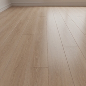 Laminate. Parquet. Board 20