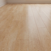 Laminate. Parquet. Board 22
