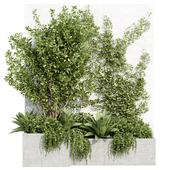 Outoor Plants Set 010